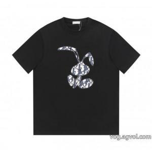 偽 ブランド 販売爆発的人気再入荷 長くご愛用できる 超目玉DIOR半袖Tシャツ
